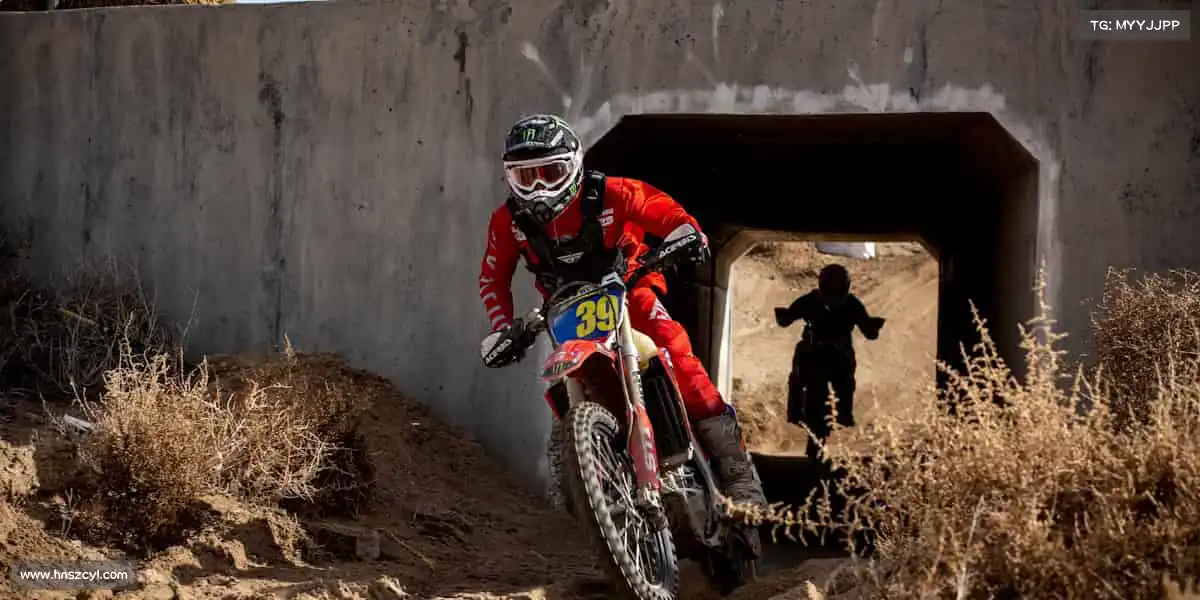 为什么选择我们